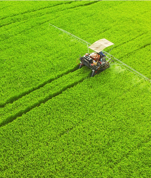 Agriculture and Biology